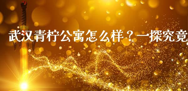 武汉青柠公寓怎么样？一探究竟_https://wap.langutaoci.com_货币市场_第1张