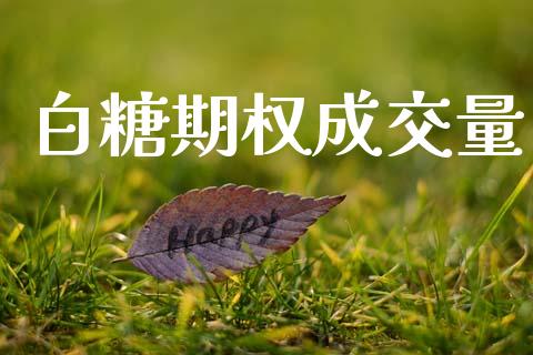 白糖期权成交量_https://wap.langutaoci.com_货币市场_第1张