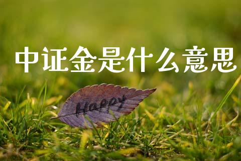 中证金是什么意思_https://wap.langutaoci.com_货币市场_第1张