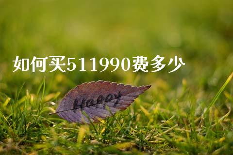 如何买511990费多少_https://wap.langutaoci.com_今日财经_第1张