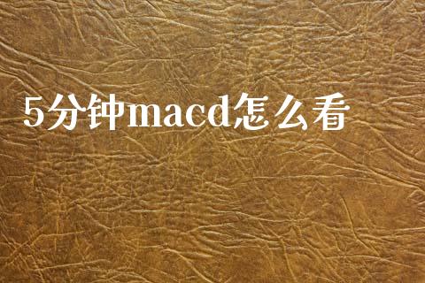 5分钟macd怎么看_https://wap.langutaoci.com_金融服务_第1张