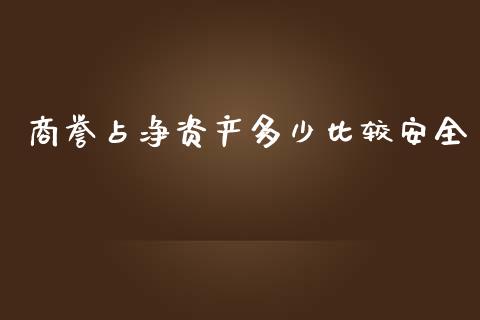 商誉占净资产多少比较安全_https://wap.langutaoci.com_债券基金_第1张