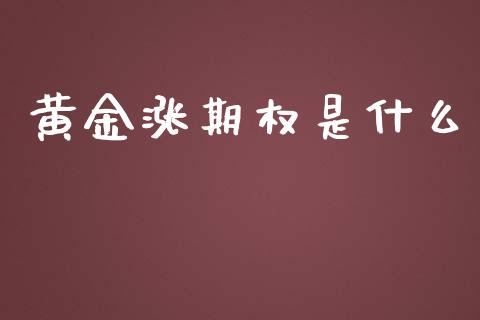 黄金涨期权是什么_https://wap.langutaoci.com_期货行情_第1张