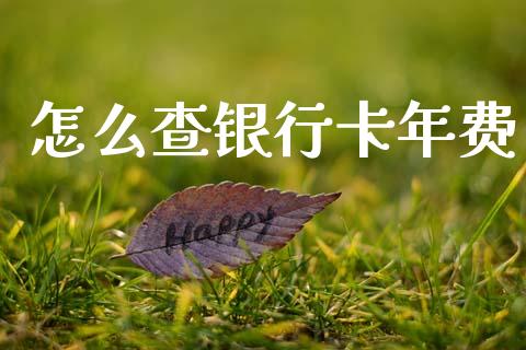 怎么查银行卡年费_https://wap.langutaoci.com_期货行情_第1张