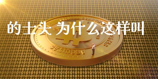 的士头 为什么这样叫_https://wap.langutaoci.com_债券基金_第1张