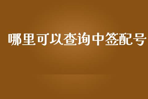 哪里可以查询中签配号_https://wap.langutaoci.com_货币市场_第1张