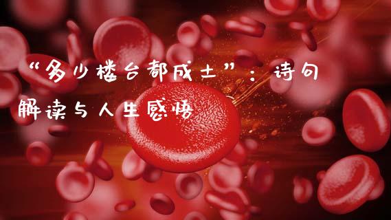 “多少楼台都成土”：诗句解读与人生感悟_https://wap.langutaoci.com_期货行情_第1张