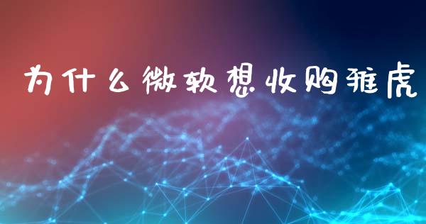 为什么微软想收购雅虎_https://wap.langutaoci.com_期货行情_第1张