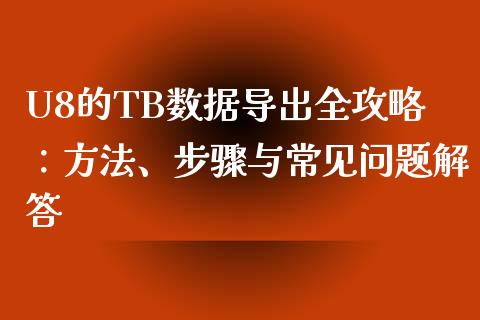 U8的TB数据导出全攻略：方法、步骤与常见问题解答_https://wap.langutaoci.com_今日财经_第1张