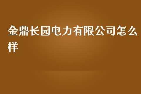 金鼎长园电力有限公司怎么样_https://wap.langutaoci.com_今日财经_第1张