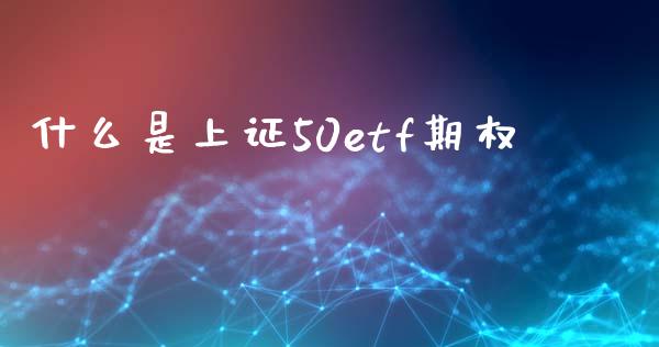 什么是上证50etf期权_https://wap.langutaoci.com_外汇论坛_第1张