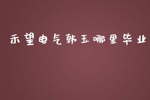 禾望电气韩玉哪里毕业_https://wap.langutaoci.com_金融服务_第1张