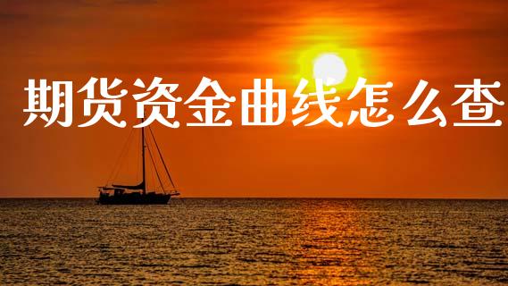 期货资金曲线怎么查_https://wap.langutaoci.com_金融服务_第1张