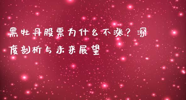 黑牡丹股票为什么不涨？深度剖析与未来展望_https://wap.langutaoci.com_债券基金_第1张