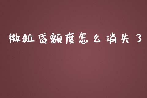 微粒贷额度怎么消失了_https://wap.langutaoci.com_期货行情_第1张