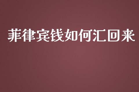 菲律宾钱如何汇回来_https://wap.langutaoci.com_外汇论坛_第1张