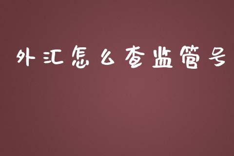 外汇怎么查监管号_https://wap.langutaoci.com_今日财经_第1张