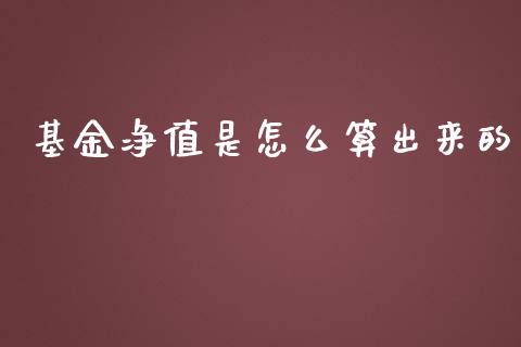 基金净值是怎么算出来的_https://wap.langutaoci.com_金融服务_第1张