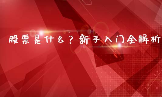 股票是什么？新手入门全解析_https://wap.langutaoci.com_期货行情_第1张