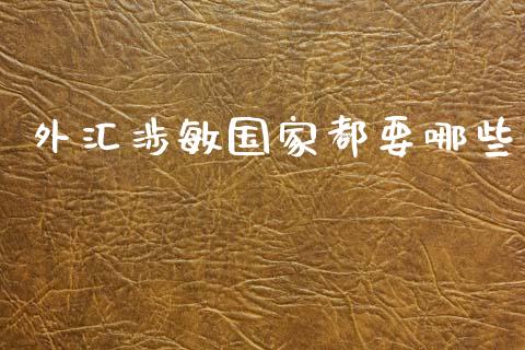 外汇涉敏国家都要哪些_https://wap.langutaoci.com_债券基金_第1张