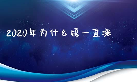 2020年为什么镍一直涨_https://wap.langutaoci.com_期货行情_第1张