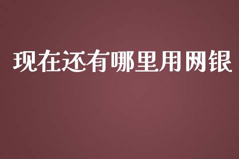 现在还有哪里用网银_https://wap.langutaoci.com_货币市场_第1张