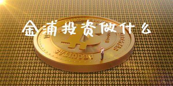 金浦投资做什么_https://wap.langutaoci.com_债券基金_第1张