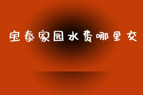 宝泰家园水费哪里交_https://wap.langutaoci.com_今日财经_第1张