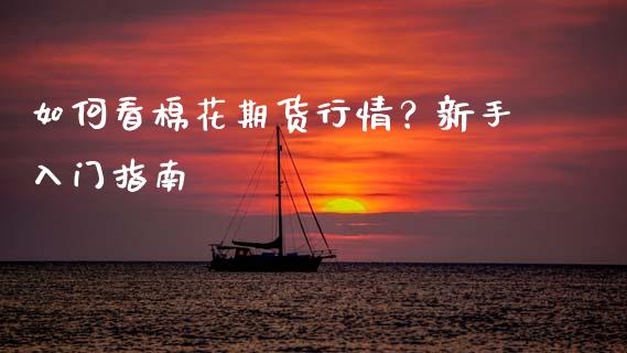 如何看棉花期货行情?新手入门指南_今日财经_第1张_今日财经_货币市场_期货行情_金融服务_外汇论坛_债券基金 如何看棉花期货行情?新手入门指南_https://wap.langutaoci.com_今日财经_第1张