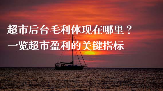 超市后台毛利体现在哪里？一览超市盈利的关键指标_https://wap.langutaoci.com_金融服务_第1张
