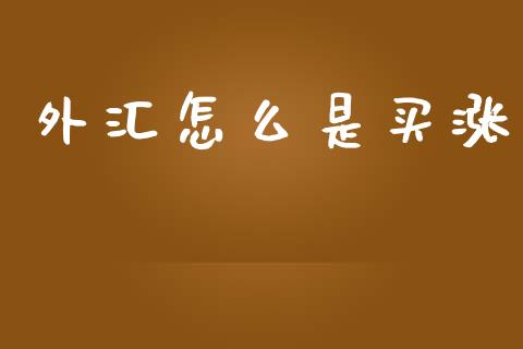 外汇怎么是买涨_https://wap.langutaoci.com_债券基金_第1张