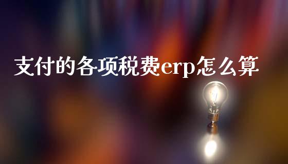 支付的各项税费erp怎么算_https://wap.langutaoci.com_债券基金_第1张