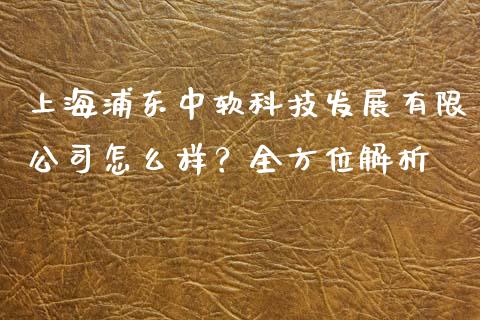 上海浦东中软科技发展有限公司怎么样？全方位解析_https://wap.langutaoci.com_外汇论坛_第1张