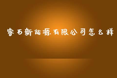 睿石新能源有限公司怎么样_https://wap.langutaoci.com_金融服务_第1张