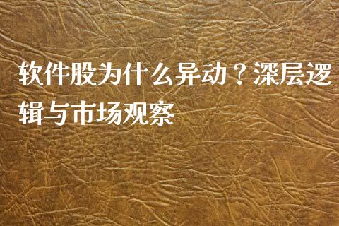 软件股为什么异动？深层逻辑与市场观察_https://wap.langutaoci.com_金融服务_第1张