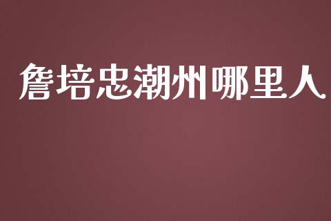 詹培忠潮州哪里人_https://wap.langutaoci.com_期货行情_第1张