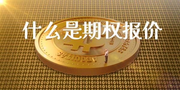 什么是期权报价_https://wap.langutaoci.com_金融服务_第1张