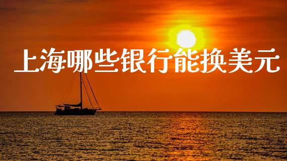 上海哪些银行能换美元_https://wap.langutaoci.com_金融服务_第1张