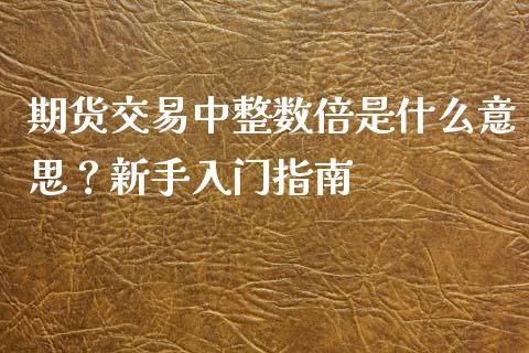 期货交易中整数倍是什么意思？新手入门指南_https://wap.langutaoci.com_金融服务_第1张