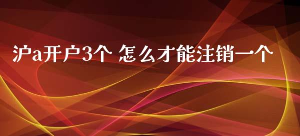 沪a开户3个 怎么才能注销一个_https://wap.langutaoci.com_债券基金_第1张