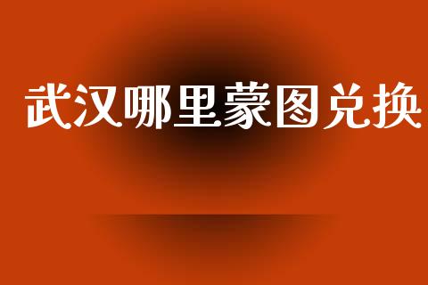 武汉哪里蒙图兑换_https://wap.langutaoci.com_债券基金_第1张