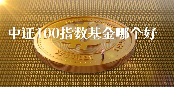 中证100指数基金哪个好_https://wap.langutaoci.com_金融服务_第1张