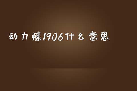 动力煤1906什么意思_https://wap.langutaoci.com_债券基金_第1张