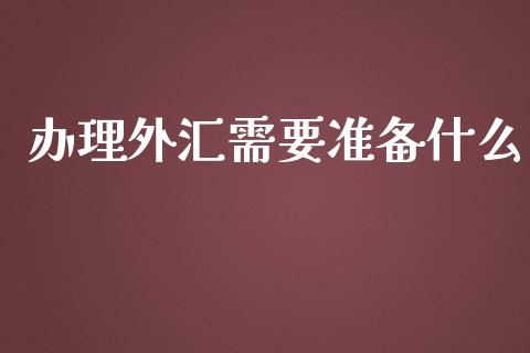 办理外汇需要准备什么_https://wap.langutaoci.com_货币市场_第1张