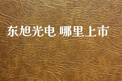 东旭光电 哪里上市_https://wap.langutaoci.com_今日财经_第1张