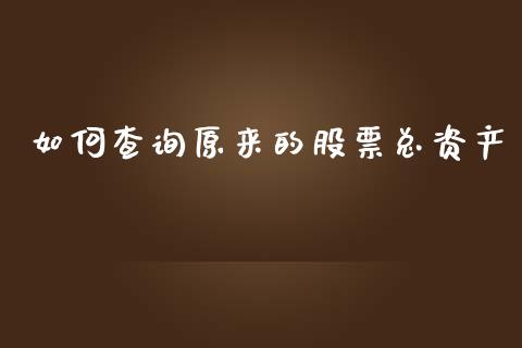 如何查询原来的股票总资产_https://wap.langutaoci.com_期货行情_第1张