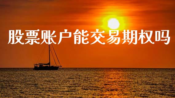 股票账户能交易期权吗_https://wap.langutaoci.com_金融服务_第1张