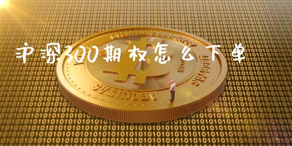 沪深300期权怎么下单_https://wap.langutaoci.com_今日财经_第1张