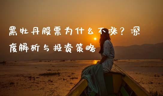 黑牡丹股票为什么不涨？深度解析与投资策略_https://wap.langutaoci.com_债券基金_第1张