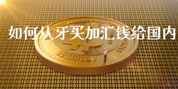 如何从牙买加汇钱给国内_https://wap.langutaoci.com_货币市场_第1张